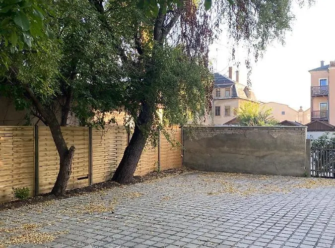 Apartmenthaus Sternstrasse 6 דירה דרזדן